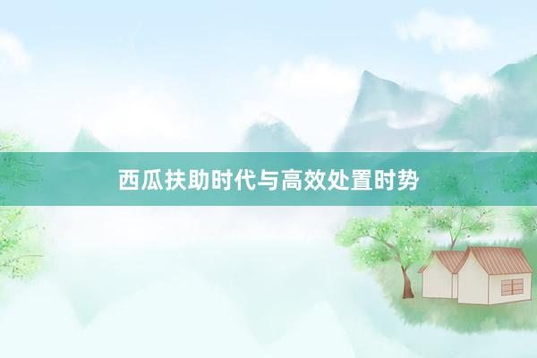 西瓜扶助时代与高效处置时势