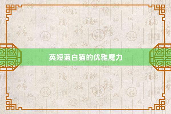 英短蓝白猫的优雅魔力